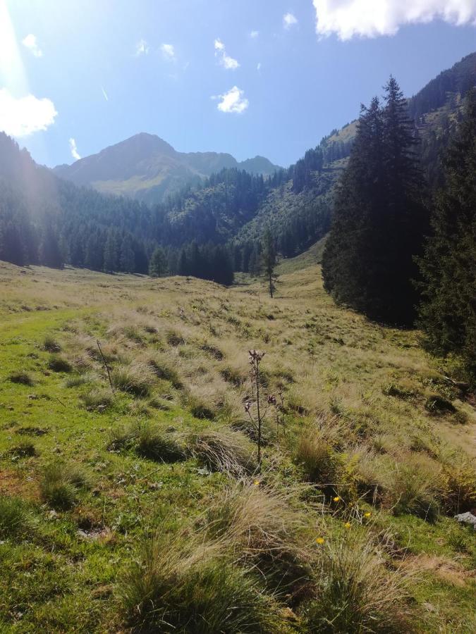 Appartement Sonnblick Kuschelsuite In Den Bergen Grosssolk Esterno foto